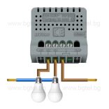 Сензорен механизъм за двоен ключ LIVOLO C7-C702/VL-FC1-2GSVM