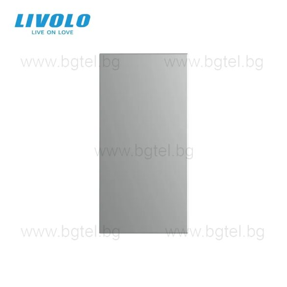 ПРАЗЕН МОДУЛ 1/2 - СИВ - VL-FCMB-1IP