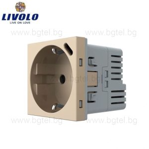 Механизъм контакт с USB Type-C LIVOLO - Златист, VL-FCTF16A.UC18W-2AP