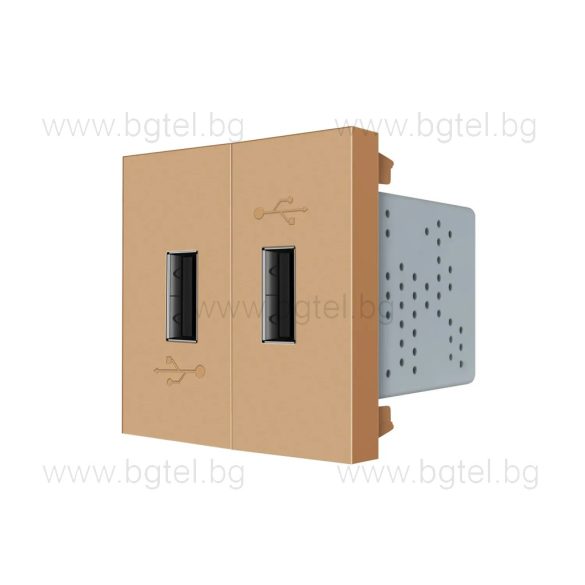 МЕХАНИЗЪМ ДВОЕН USB МОДУЛ - ЗЛАТИСТ - LIVOLO VL-C7-2USB-13 / VL-FCUA-2AP