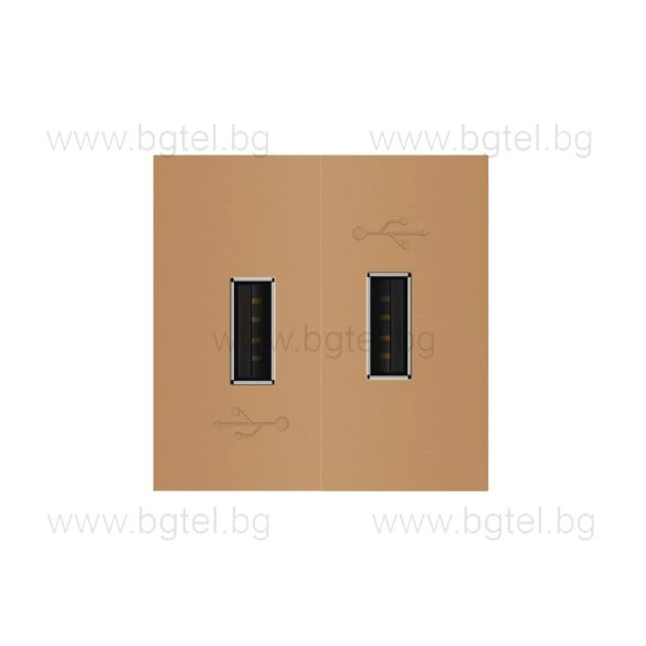 МЕХАНИЗЪМ ДВОЕН USB МОДУЛ - ЗЛАТИСТ - LIVOLO VL-C7-2USB-13 / VL-FCUA-2AP