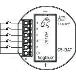 frogContact5-BAT