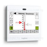 frogDisplay
