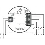 frogIn5-AC