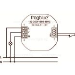 frogMotion